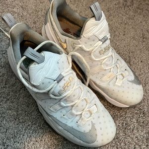 2015 Lebron James Nikes